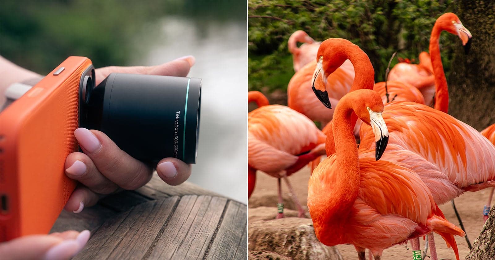 The Reeflex Ultra Telephoto Powers Up Photography on iPhone and Galaxy