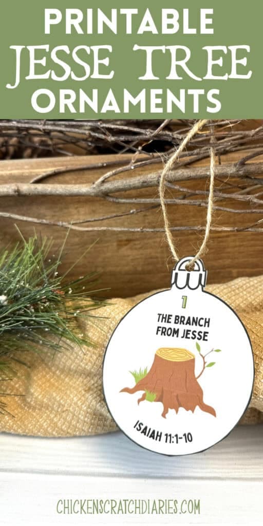 Jesse Tree Printable Ornaments for Advent (Free!)