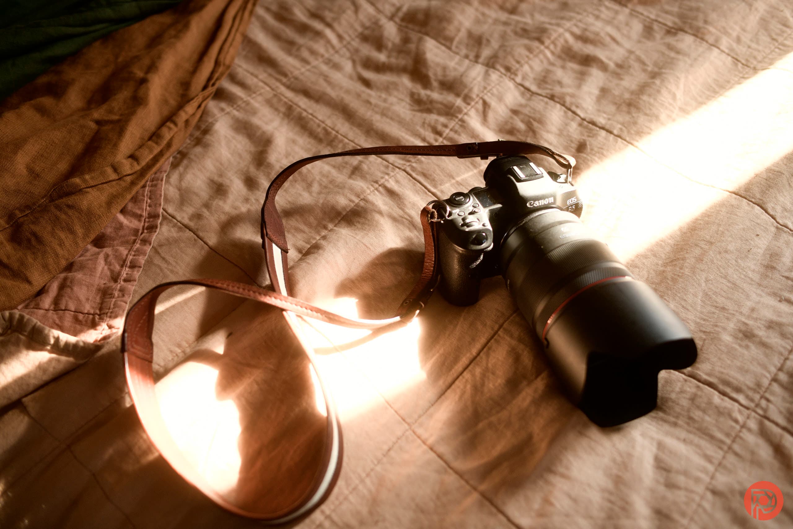 Canon EOS R5 in 2026: Why Does Everyone Hate It?